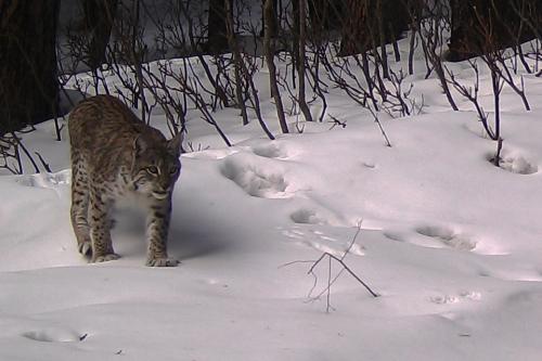 Headlines: 04 Headlines: 04