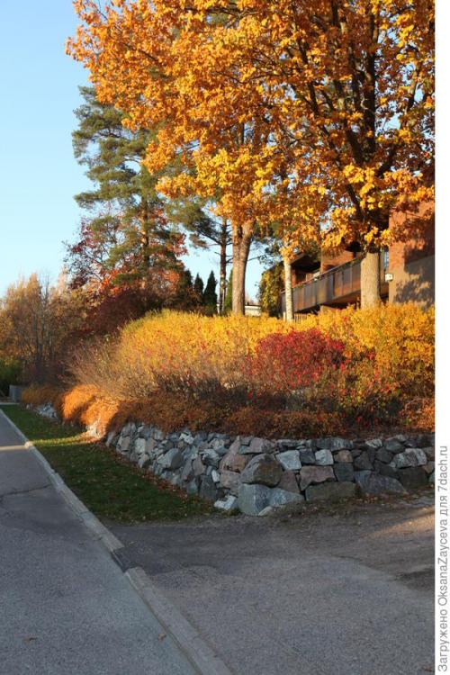 Можно ли сочетать несколько материалов для укрытия одного растения. Как укрыть лианы вместе со шпалерами, или Одеялко для актинидий