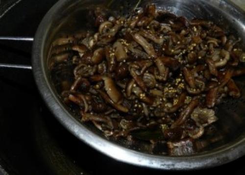 Как готовить горчицу соленые грибы. Маринованные опята с горчицей