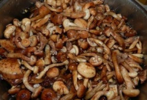 Как готовить горчицу соленые грибы. Маринованные опята с горчицей