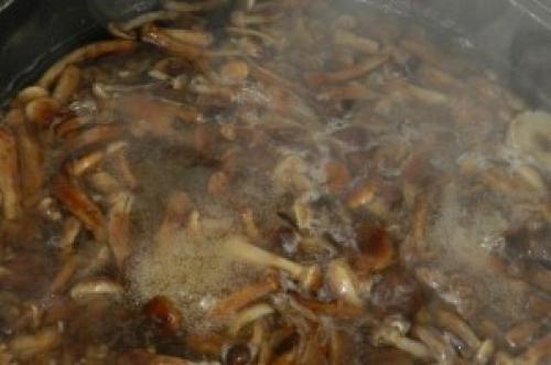 Как готовить горчицу соленые грибы. Маринованные опята с горчицей