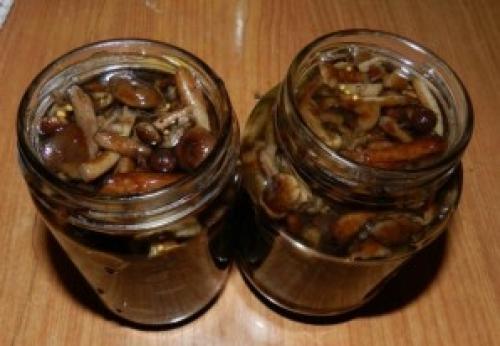 Как готовить горчицу соленые грибы. Маринованные опята с горчицей