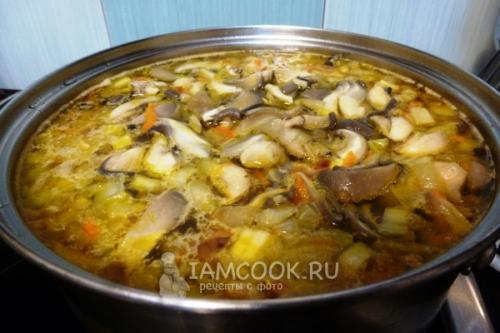 Полезные советы: как правильно готовить горчицу соленые грибы 16 Полезные советы: как правильно готовить горчицу соленые грибы 16