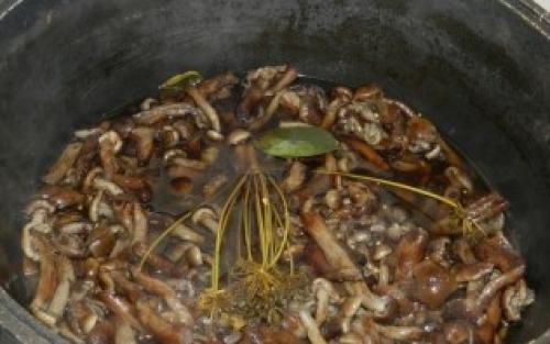 Как готовить горчицу соленые грибы. Маринованные опята с горчицей