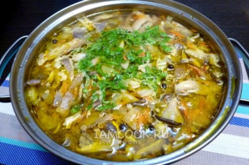 Полезные советы: как правильно готовить горчицу соленые грибы 17 Полезные советы: как правильно готовить горчицу соленые грибы 17