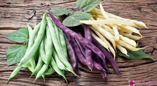 Декоративная фасоль съедобна. Можно ли употреблять в пищу декоративную фасоль?