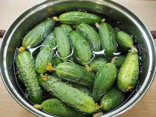 Маринад для ассорти на 3 литровую банку. Самый вкусный рецепт ассорти из овощей на зиму