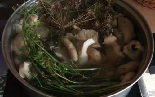 Как переделать соленые грузди. Грузди, солёные горячим способом — 7 очень вкусных рецептов на зиму