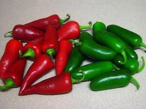 Острый перец в уксусе. Особенности маринования горького перца холодным способом 04 Острый перец в уксусе. Особенности маринования горького перца холодным способом 04