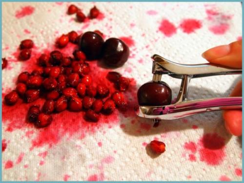 Как вырастить вишню из косточки дома. Как вырастить вишню из косточки в домашних условиях?