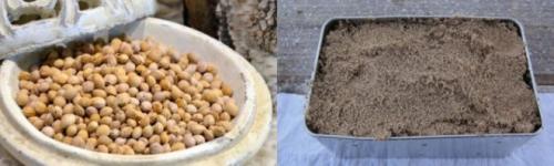 Как вырастить черешню из косточки в домашних условиях