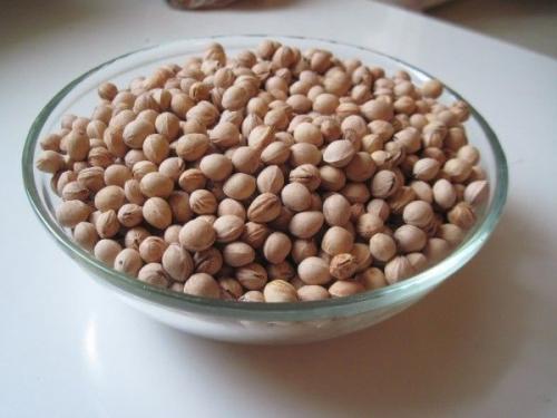 Как вырастить вишню в квартире. Как можно вырастить вишню из косточки в домашних условиях