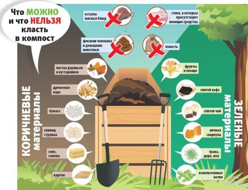 Что нельзя класть в компостную яму: список-памятка с объяснениями.