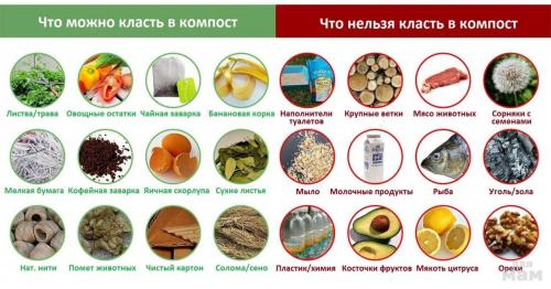 Что нельзя класть в компостную яму: список-памятка с объяснениями.