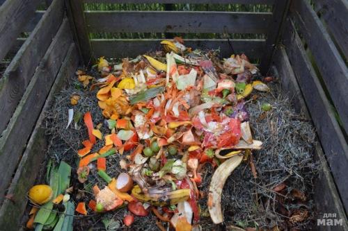 Что нельзя класть в компостную яму: список-памятка с объяснениями.