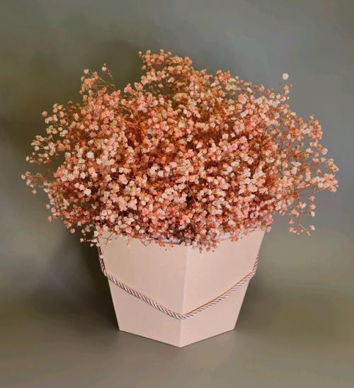 Как засушить гипсофилу. Особенности ухода за гипсофилами в букете и в коробке