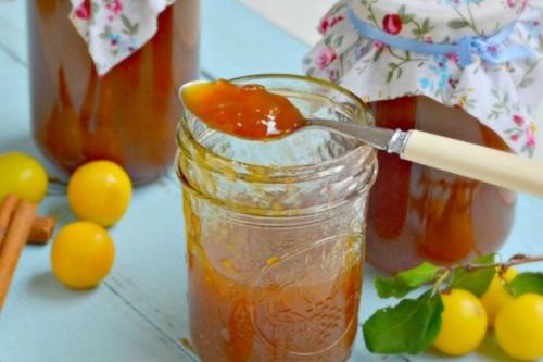 Алыча рецепты. 12 удивительных рецептов джема из алычи