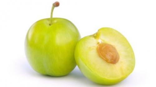 Желтая алыча польза. Сорта алычи 15