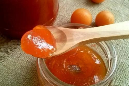 Алыча рецепты. 12 удивительных рецептов джема из алычи