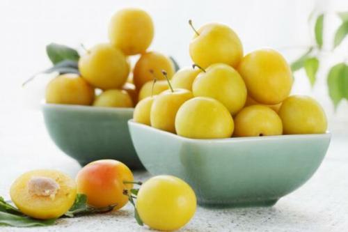 Желтая алыча польза. Сорта алычи 17