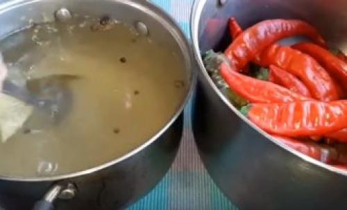 Горький перец в уксусе в холодильнике. Рецепт горького перца с уксусом, солью и перцем без варки для хранения зимой 17 Горький перец в уксусе в холодильнике. Рецепт горького перца с уксусом, солью и перцем без варки для хранения зимой 17