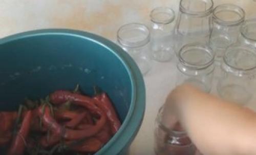 Горький перец в уксусе в холодильнике. Рецепт горького перца с уксусом, солью и перцем без варки для хранения зимой 21 Горький перец в уксусе в холодильнике. Рецепт горького перца с уксусом, солью и перцем без варки для хранения зимой 21