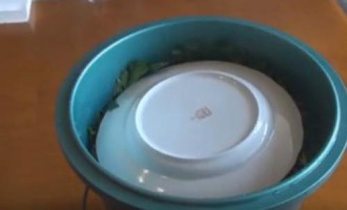 Горький перец в уксусе в холодильнике. Рецепт горького перца с уксусом, солью и перцем без варки для хранения зимой 18 Горький перец в уксусе в холодильнике. Рецепт горького перца с уксусом, солью и перцем без варки для хранения зимой 18