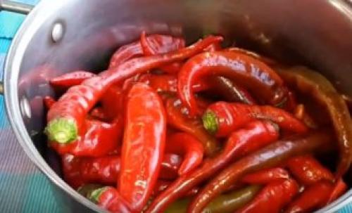 Горький перец в уксусе в холодильнике. Рецепт горького перца с уксусом, солью и перцем без варки для хранения зимой 16 Горький перец в уксусе в холодильнике. Рецепт горького перца с уксусом, солью и перцем без варки для хранения зимой 16