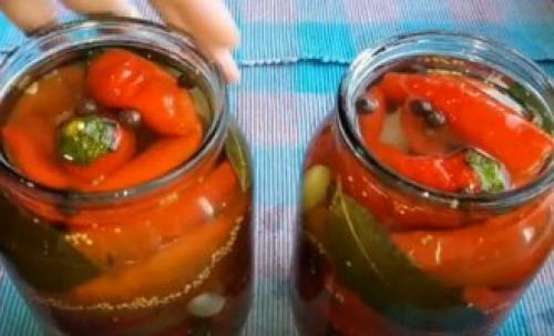 Горький перец в уксусе в холодильнике. Рецепт горького перца с уксусом, солью и перцем без варки для хранения зимой 22 Горький перец в уксусе в холодильнике. Рецепт горького перца с уксусом, солью и перцем без варки для хранения зимой 22