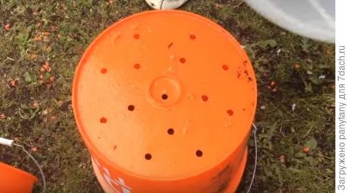 Малина ведрами. Мобильный малинник