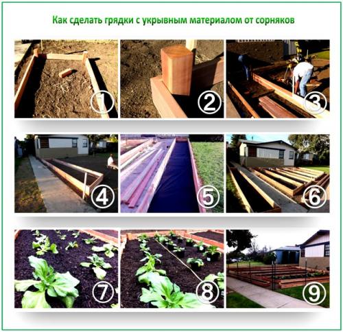 Почему под укрывным материалом растет трава. Как правильно проводить монтаж?