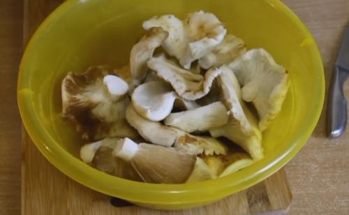 Простые методы обработки груздей после сбора