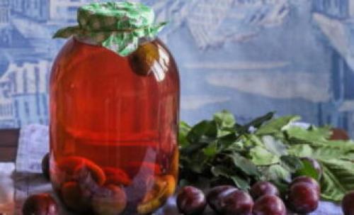 Компот из слив с косточками. Компот из сливы с косточками на зиму