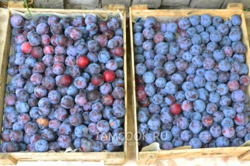 Как приготовить сливовый компот на зиму. Компот из сливы на зиму — 8 простых рецептов 34