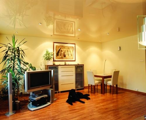 Какие лучше сделать потолки в квартире. Какой потолок выбрать 10