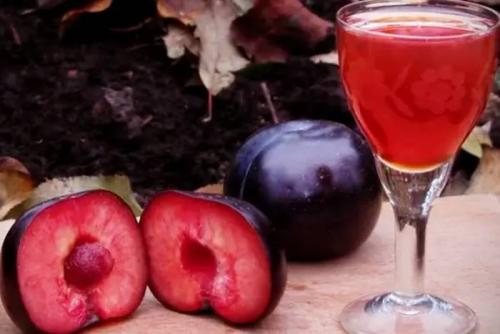 Сливянка вино. Наливка из слив   в домашних условиях – 13 рецептов