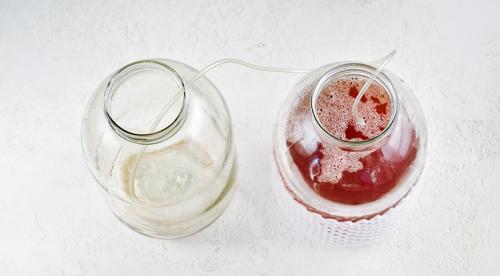 Отличная сливянка в домашних условиях. Кулинарные секреты 14 Отличная сливянка в домашних условиях. Кулинарные секреты 14