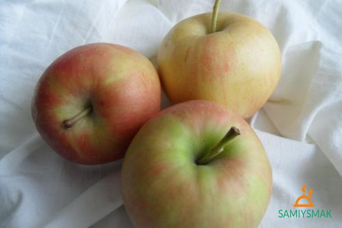 Сливовое варенье на меде. Традиционный способ варки варенья из слив на зиму 31