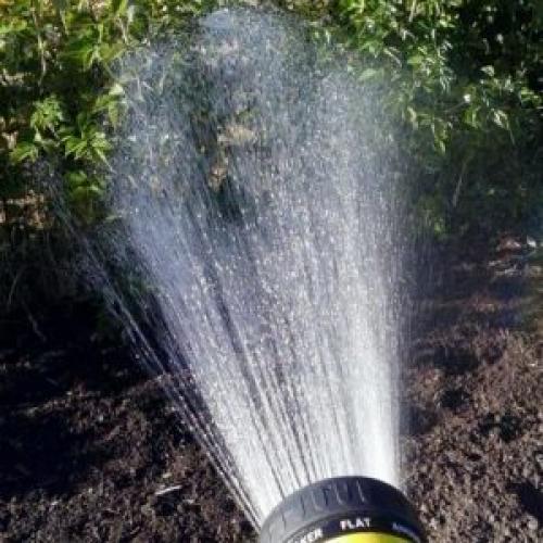 Малина работы в июне. Инструкция по уходу за малиной летом для начинающих и советы бывалых садоводов