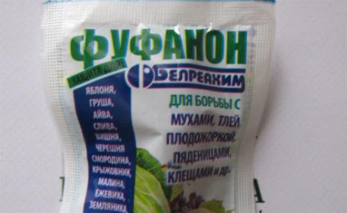 Обработка малины хорусом. Как и чем обработать малину весной