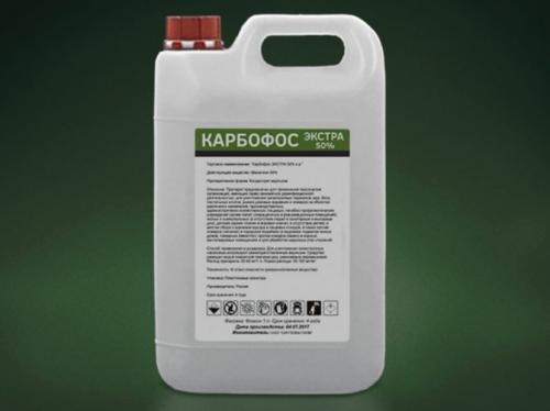 График опрыскивания малины. Чем обрабатывать малину ранней весной от болезней и вредителей