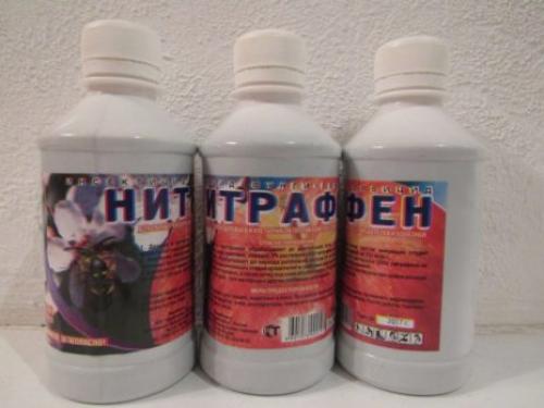 Обработка малины хорусом. Как и чем обработать малину весной