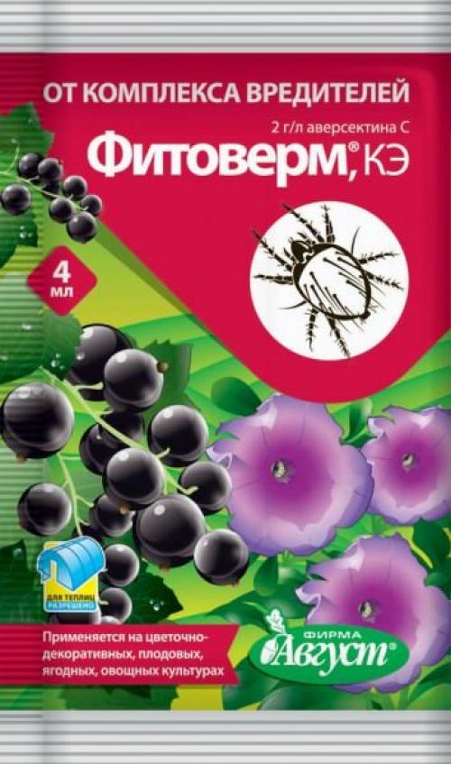 Обработка малины медным купоросом. Как правильно обработать малину