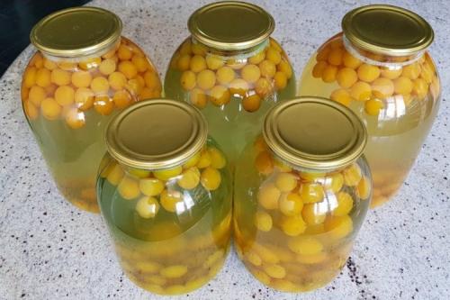 Закрываем сливы на зиму. Желтая слива на зиму: 15 рецептов легких и вкусных заготовок