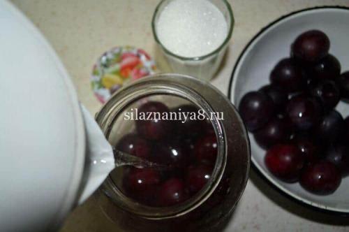 Слива на зиму с косточкой и без. Варенье из желтой сливы на зиму 31