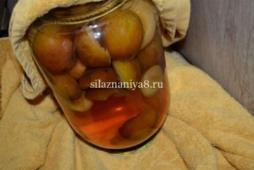 Слива на зиму с косточкой и без. Варенье из желтой сливы на зиму 29