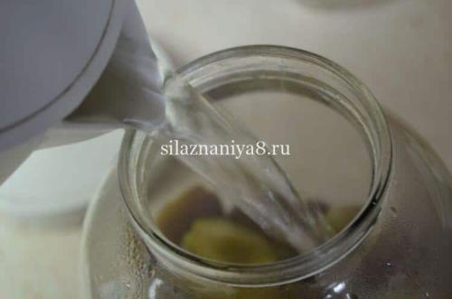 Слива на зиму с косточкой и без. Варенье из желтой сливы на зиму 24