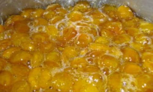 Слива на зиму с косточкой и без. Варенье из желтой сливы на зиму