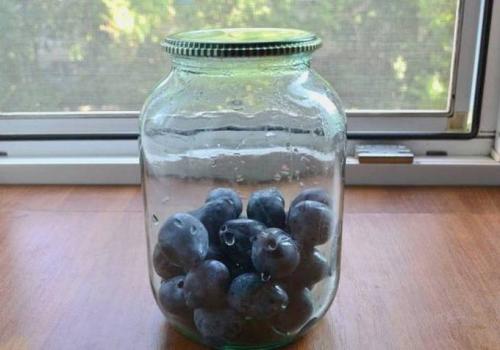 Компот из сливы на зиму — простой рецепт 26