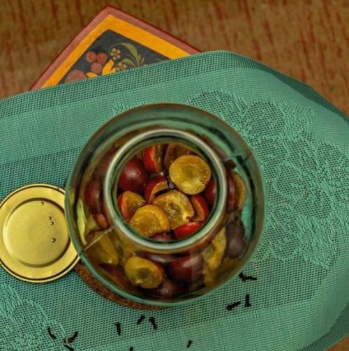 Компот из сливы на зиму — простой рецепт 22